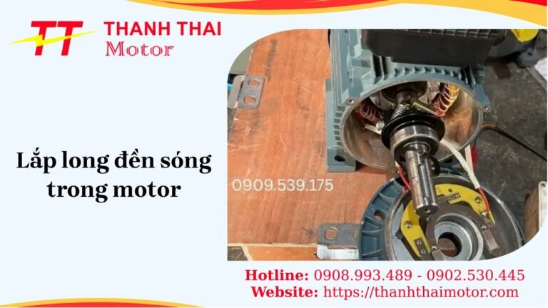Lắp long đền sóng trong motor
