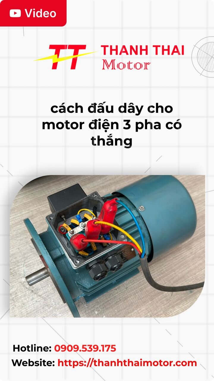 Thumb cách đấu dây cho motor điện 3 pha có thắng
