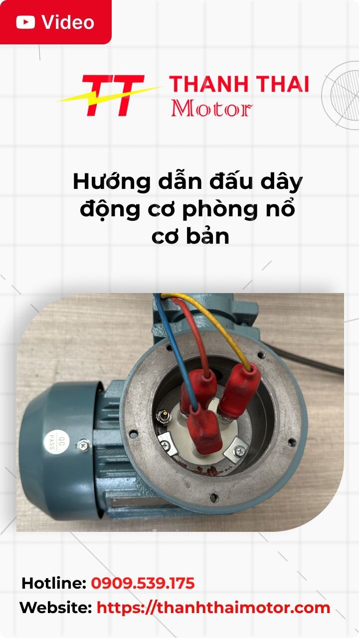 Thumb hướng dẫn đấu dây động cơ phòng nổ cơ bản