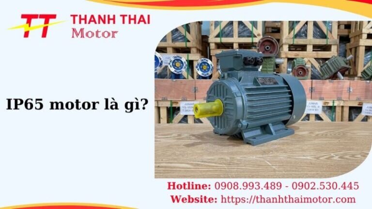 Thumb IP65 motor là gì