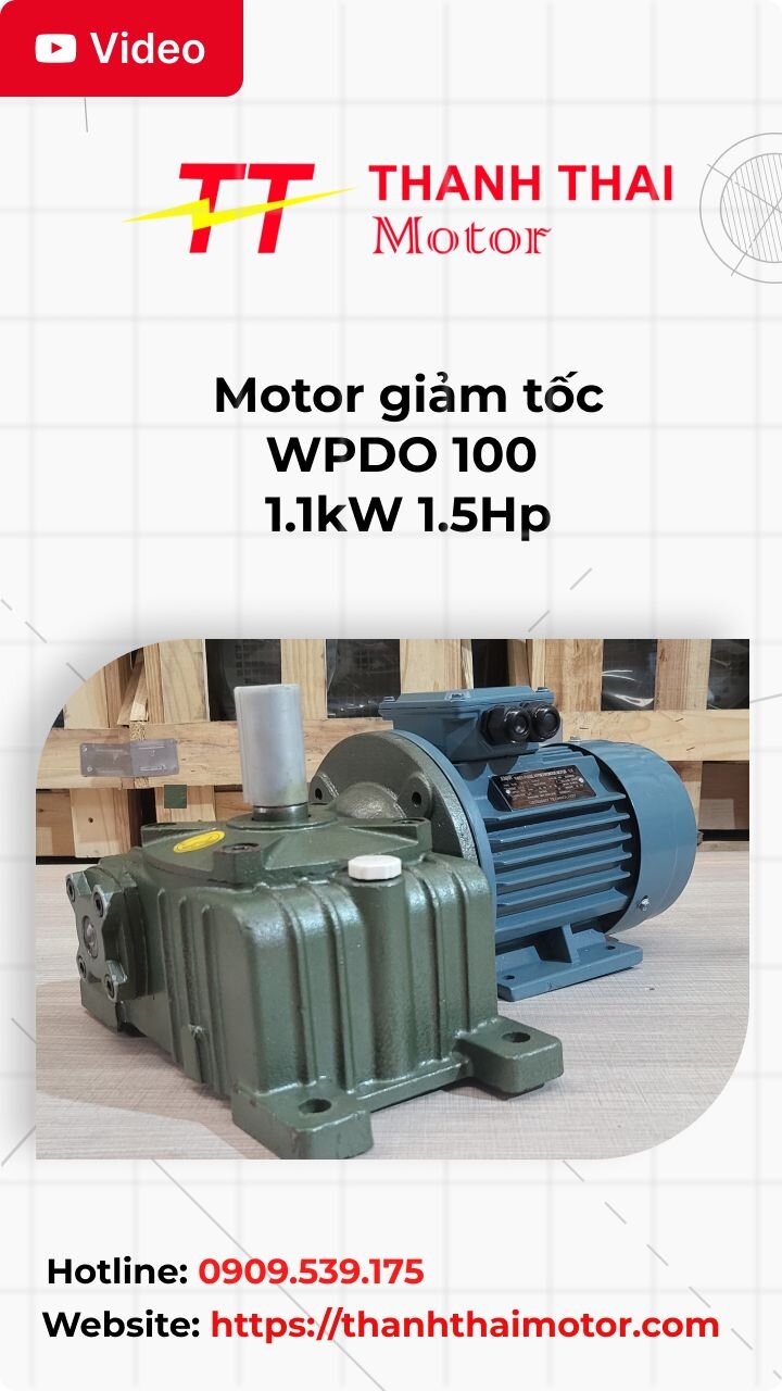Thimb motor giảm tốc WPDO 100 1.1kW 1.5Hp