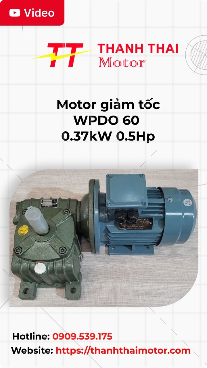 Thumb motor giảm tốc WPDO 60 0.37kW 0.5Hp
