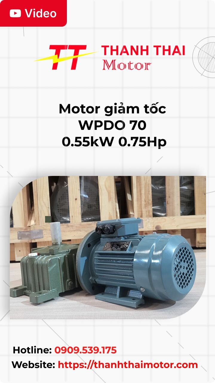Thumb motor giảm tốc WPDO 70 0.55kW 0.75Hp