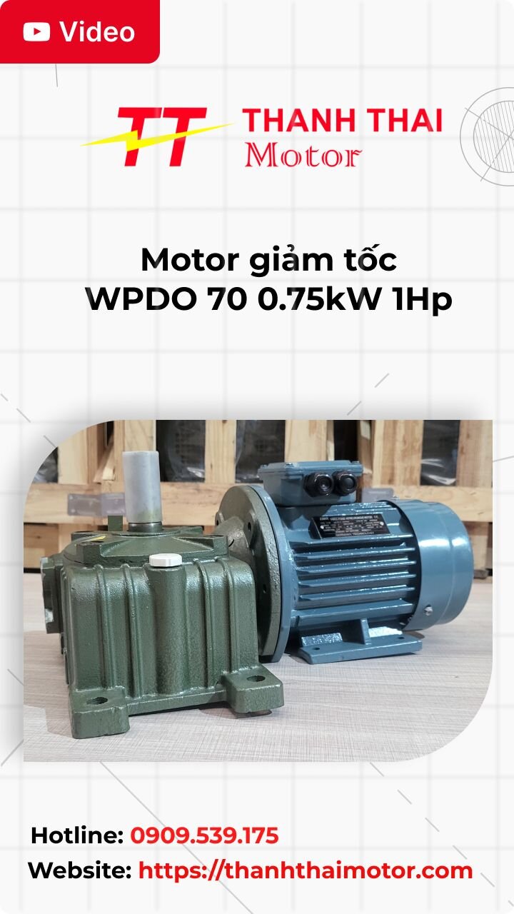 Thumb motor giảm tốc WPDO 70 0.75kW 1Hp