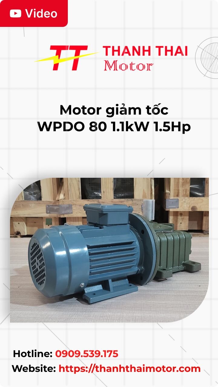 Thumb motor giảm tốc WPDO 80 1.1kW 1.5Hp