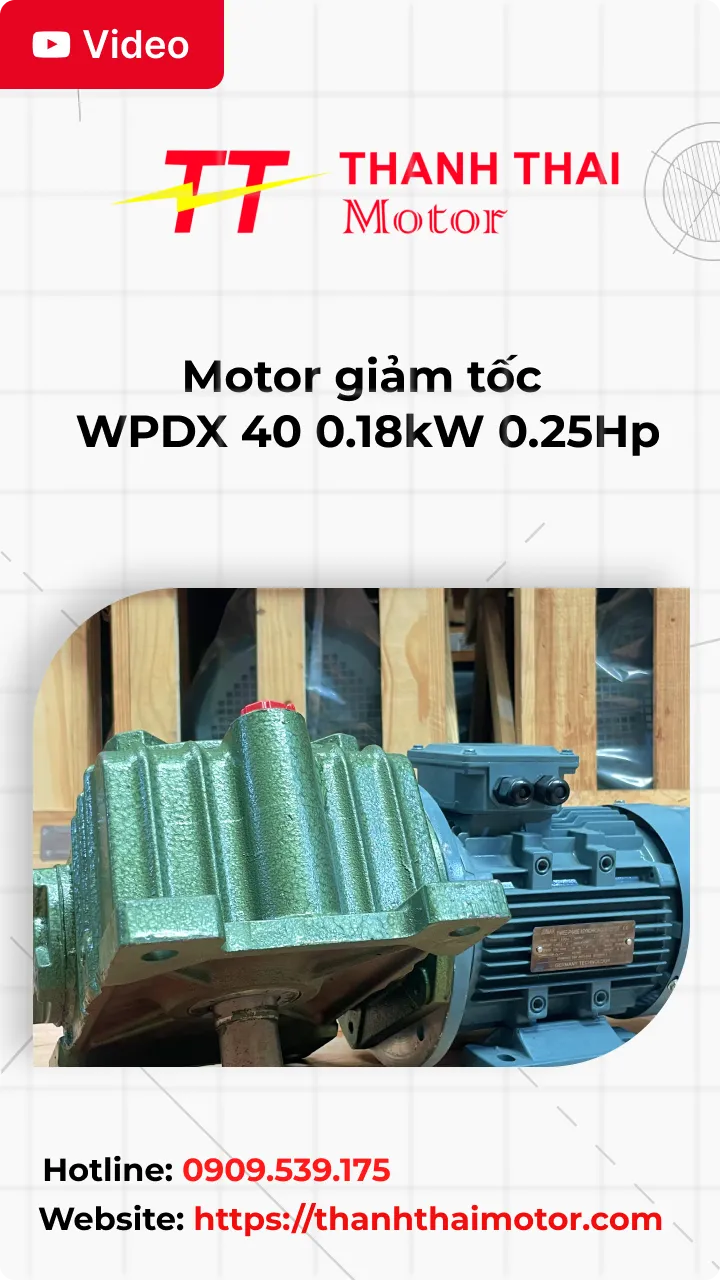 Motor giảm tốc WPDX 40 0.18kW 0.25Hp