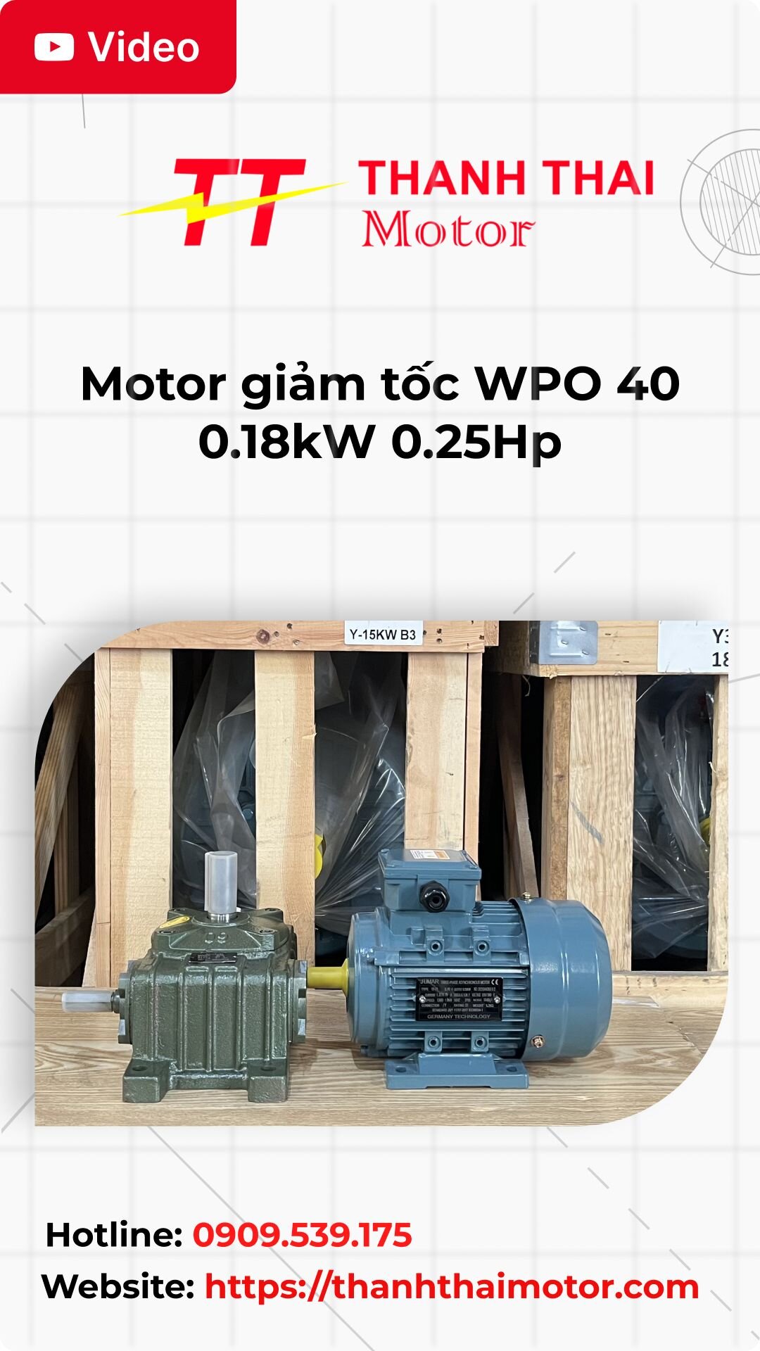 Thumb motor giảm tốc WPO 40 0.18kW 0.25Hp