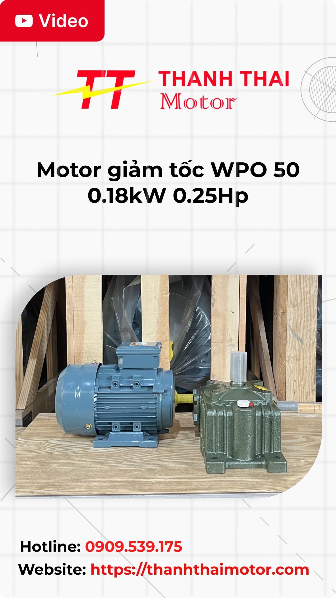 Thumb motor giảm tốc WPO 50 0.18kW 0.25Hp