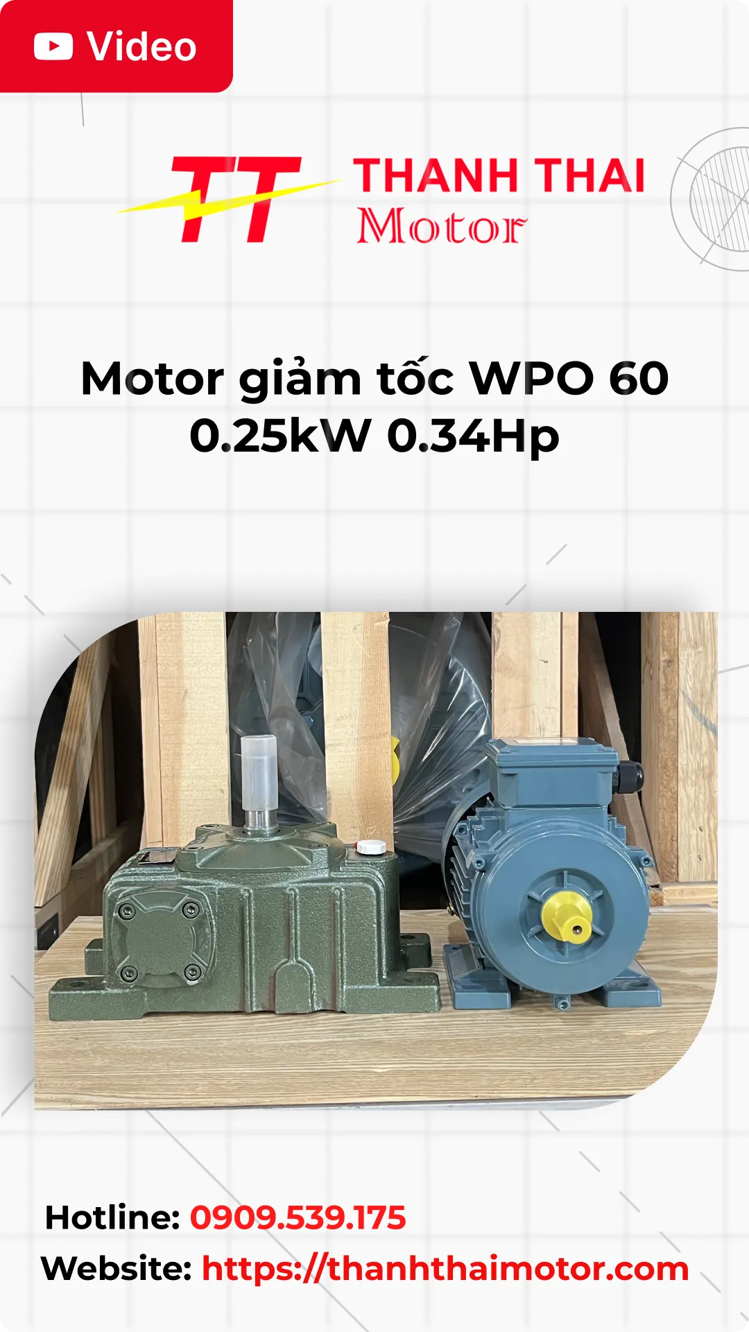 Thumb motor giảm tốc WPO 60 0.25kW 0.34Hp
