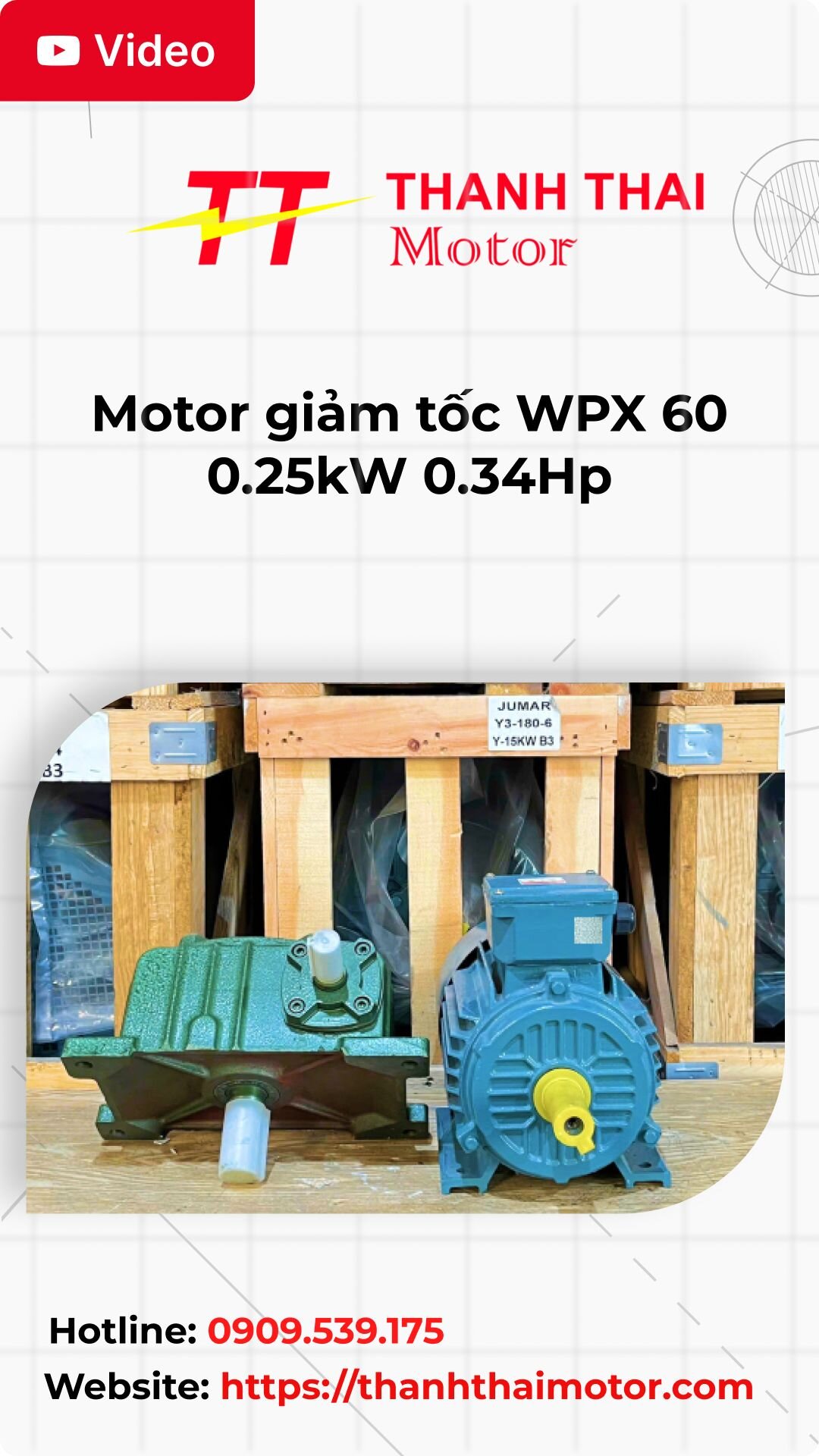 Thumb motor giảm tốc WPX 60 0.25kW 0.34Hp