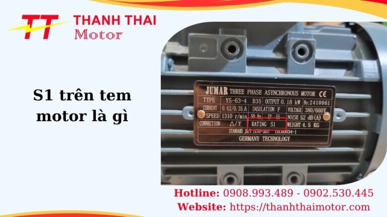 Hình thumb S1 trên tem motor là gì