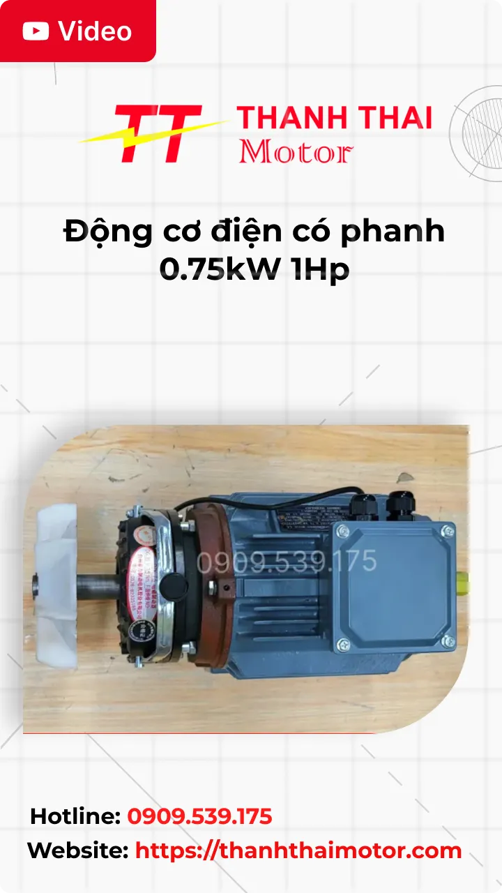 Thumb Video review động cơ điện có phanh 0.75kW 1Hp