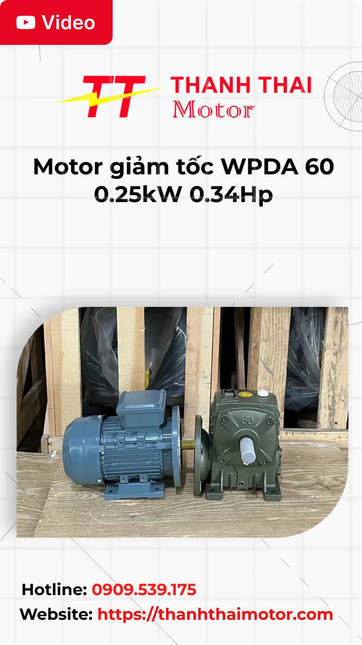 Thunb Video review motor giảm tốc WPDA 60 0.25kW 0.34Hp