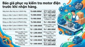 Báo giá phục vụ kiểm tra motor điện trước khi nhận hàng.