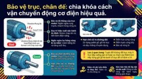 Bảo vệ trục, chân đế: chìa khóa cách vận chuyển động cơ điện hiệu quả.