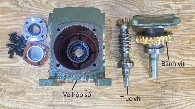 Internal structure of the WPO worm gearbox