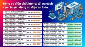 Động cơ điện chất lượng: tối ưu cách vận chuyển động cơ điện an toàn.