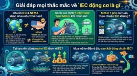 Giải đáp mọi thắc mắc về `IEC động cơ là gì`.