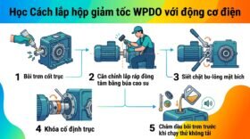 Học Cách lắp hộp giảm tốc WPDO với động cơ điện