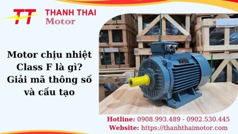 Hình thumb motor chịu nhiệt Class F là gì giải mã thông số và cấu tạo