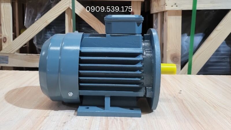 Motor điện 3 pha dùng cho máy nén khí công nghiệp