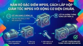 Nắm rõ đặc điểm WPDS, cách lắp hộp giảm tốc WPDS với động cơ điện chuẩn.