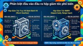 Phân biệt đầu vào đầu ra hộp giảm tốc phổ biến