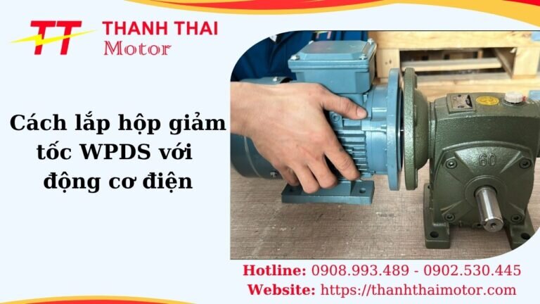 Hình thumb cách lắp hộp giảm tốc WPDS với động cơ điện