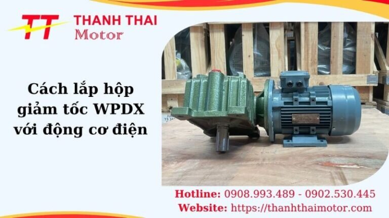 Thumb cách lắp hộp giảm tốc WPDX với động cơ điện