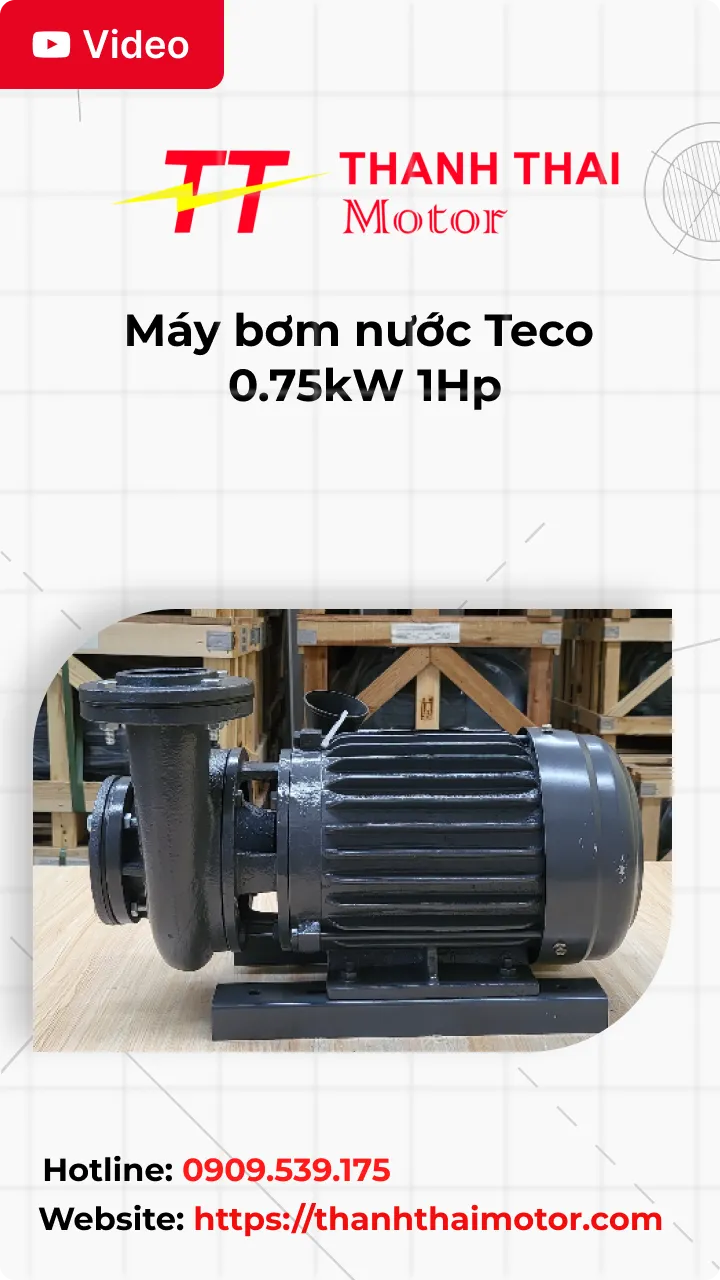 Thumb Video review máy bơm nước Teco 0.75kW 1Hp