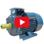 Video động cơ điện