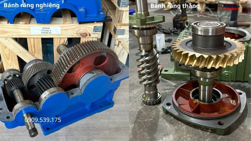 Tổng quan về hộp giảm tốc bánh răng nghiêng và bánh răng thẳng