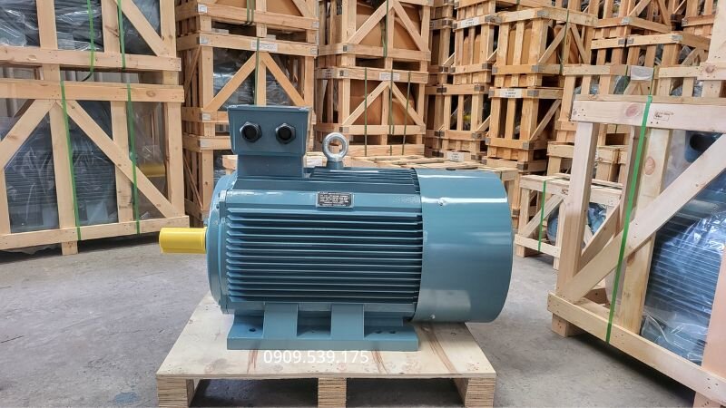 Bảo trì định kỳ giúp hai motor vận hành bền bỉ và ổn định