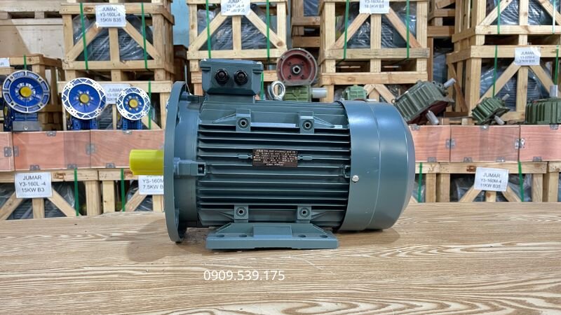 Đối chiếu thông tin trên CO, CQ với motor để xác minh chính xác