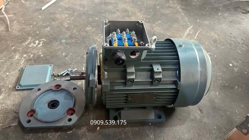 Giải pháp phù hợp khi chọn nhầm motor chân đế hoặc motor mặt bích