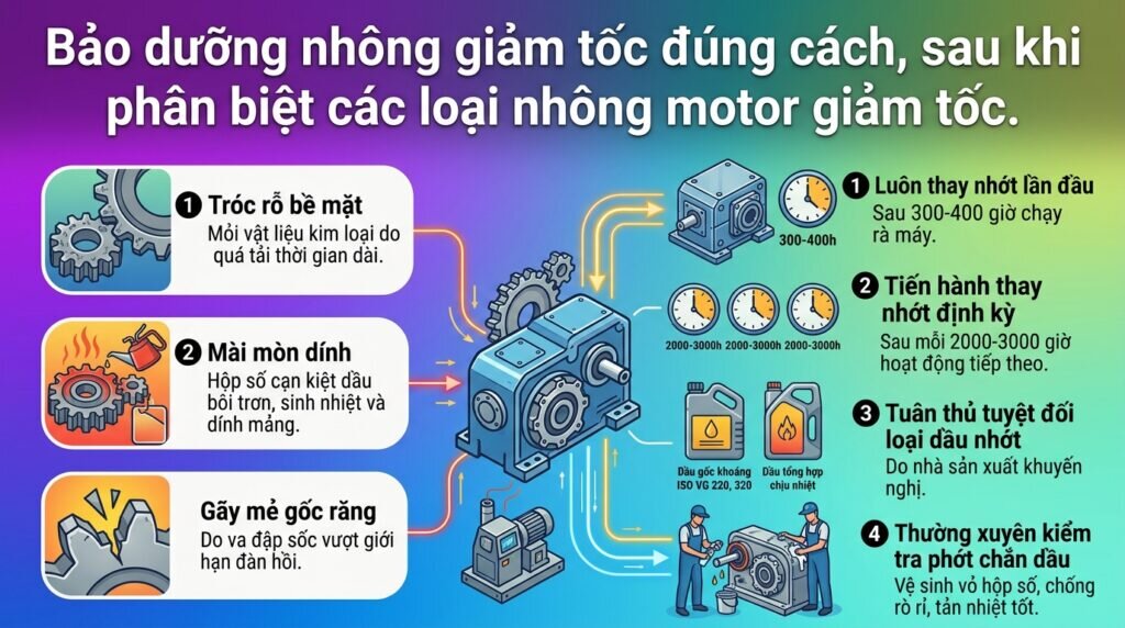 Bảo dưỡng nhông giảm tốc đúng cách, sau khi phân biệt các loại nhông motor giảm tốc.