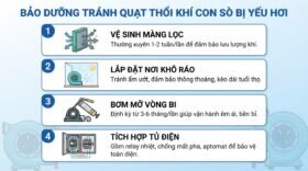 Bảo dưỡng tránh quạt thổi khí con sò bị yếu hơi.