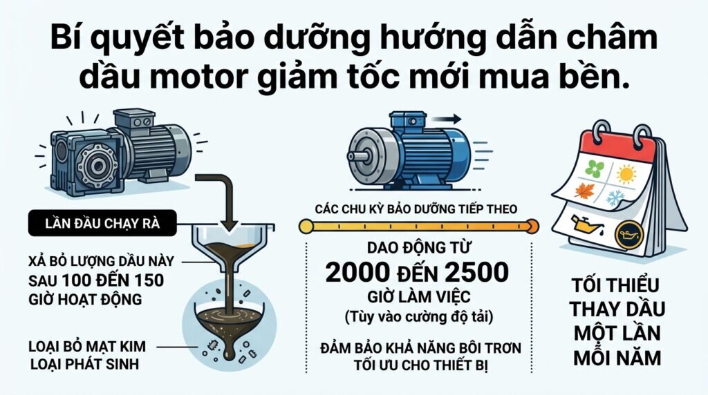 Bí quyết bảo dưỡng hướng dẫn châm dầu motor giảm tốc mới mua bền.