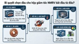 Bí quyết chọn dầu cho hộp giảm tốc NMRV bắt đầu từ đâu?