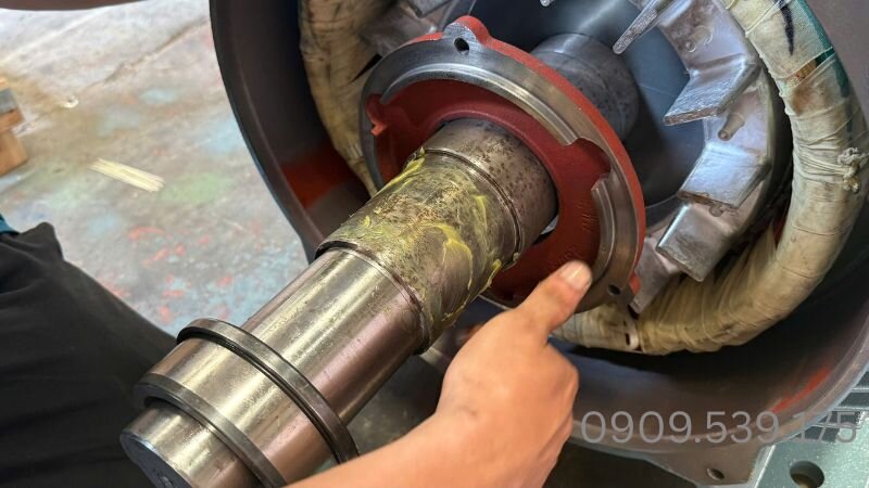 Các bước bảo dưỡng motor khi bị xì mỡ bò ở đầu trục