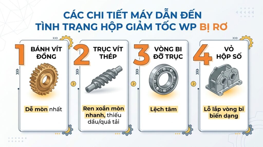 Các chi tiết máy dẫn đến tình trạng hộp giảm tốc WP bị rơ.