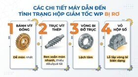 Các chi tiết máy dẫn đến tình trạng hộp giảm tốc WP bị rơ.
