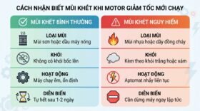 Cách nhận biết khi motor giảm tốc mới chạy có mùi khét nhẹ.