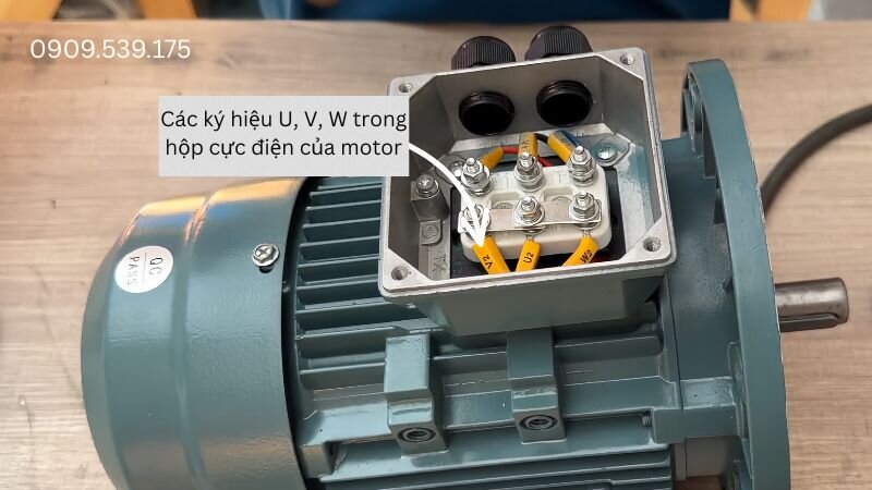 Cách xác định U1, V1, W1 và U2, V2, W2 trước khi đấu dây