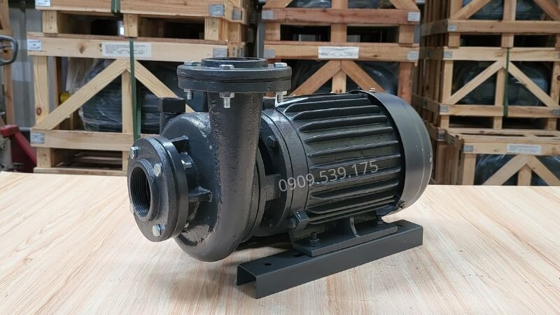 Cấu tạo của máy bơm nước TECO 7.5kW 10Hp