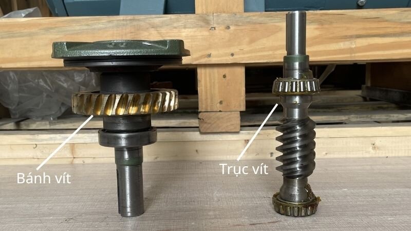 Structure of the worm and worm wheel inside the WPX gearbox