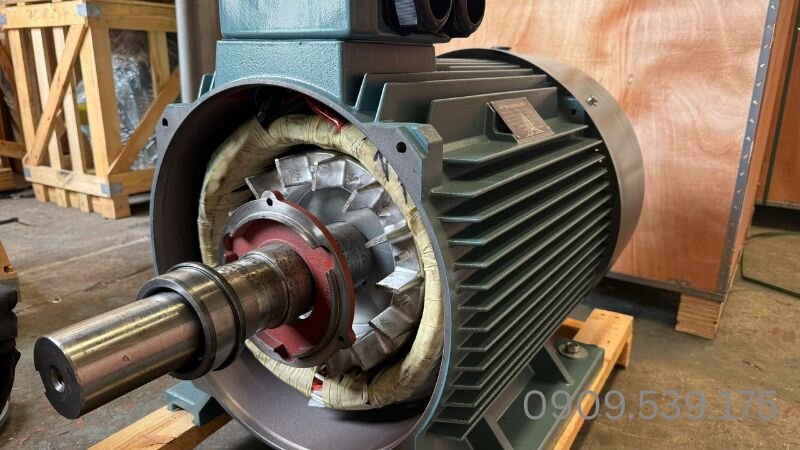 Cấu tạo vị trí gây rò rỉ mỡ bò trên trục motor