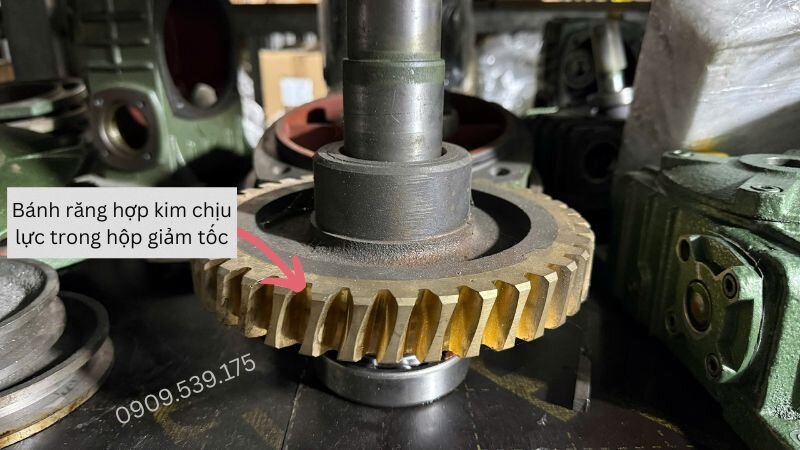 Chi tiết bánh răng hộp số giảm tốc tời nâng hạ công nghiệp