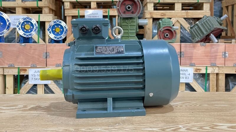 Chọn motor cho máy cưa bàn trượt làm mộc tại Thành Thái Motor.
