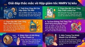 Giải đáp thắc mắc về Hộp giảm tốc NMRV bị kêu